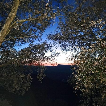 מלון בניולס La Terraza מראה חיצוני תמונה