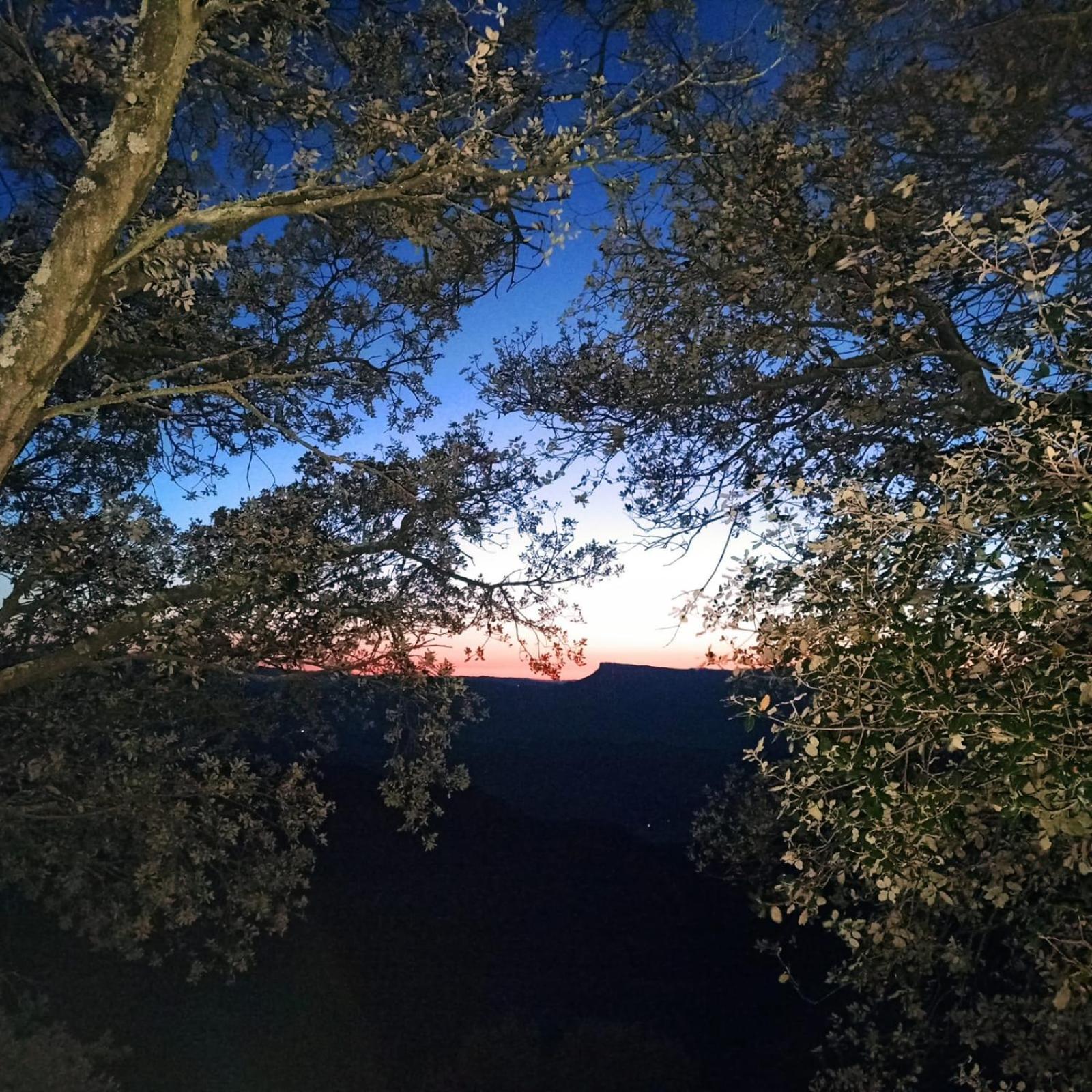 מלון בניולס La Terraza מראה חיצוני תמונה